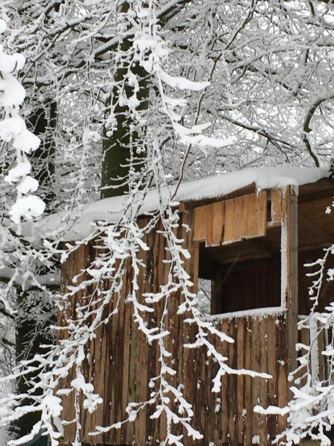 Ferienhaus Janne Monschau Bagian luar foto
